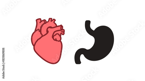 Anatomical illustration of a red human heart and a black human stomach side by side on a white background.