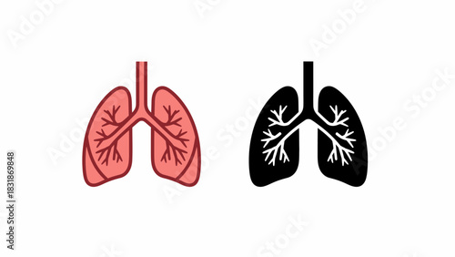 Illustration of lungs in color and black and white, showing the respiratory system.