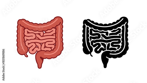 Detailed illustration of human intestines in both colored and black silhouette versions, depicting the large and small bowel.