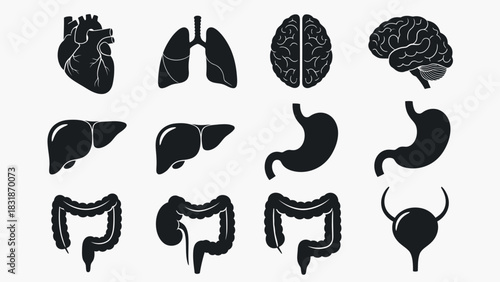 A collection of black silhouette icons representing various human organs, including the heart, lungs, brain, liver, stomach, intestines, and bladder.