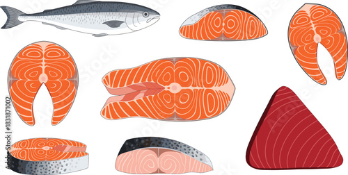A vector illustration set of fresh salmon and tuna, featuring whole fish, various steaks, loins, and triangular pieces, representing healthy food, seafood, and cooking ingredients