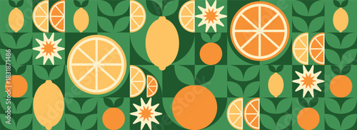 Tropical fruits: orange, leaves, and slices. Abstract geometric background. Set of vector icons in a simple, flat, minimalist style.