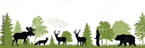 Green Forest Landscape with Animal Silhouettes Presented as a Scenic Nature Vector Illustration for Wildlife, Environment, and Outdoor Design Themes