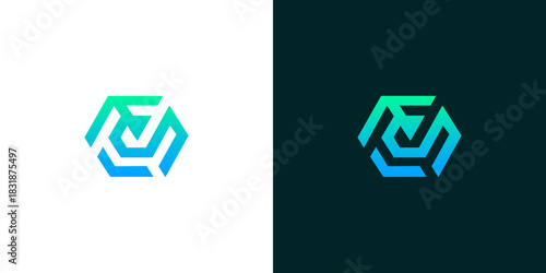 Modern geometric hexagon logo with an abstract interwoven symbol. A futuristic design concept with a blue and green gradient for technology or branding