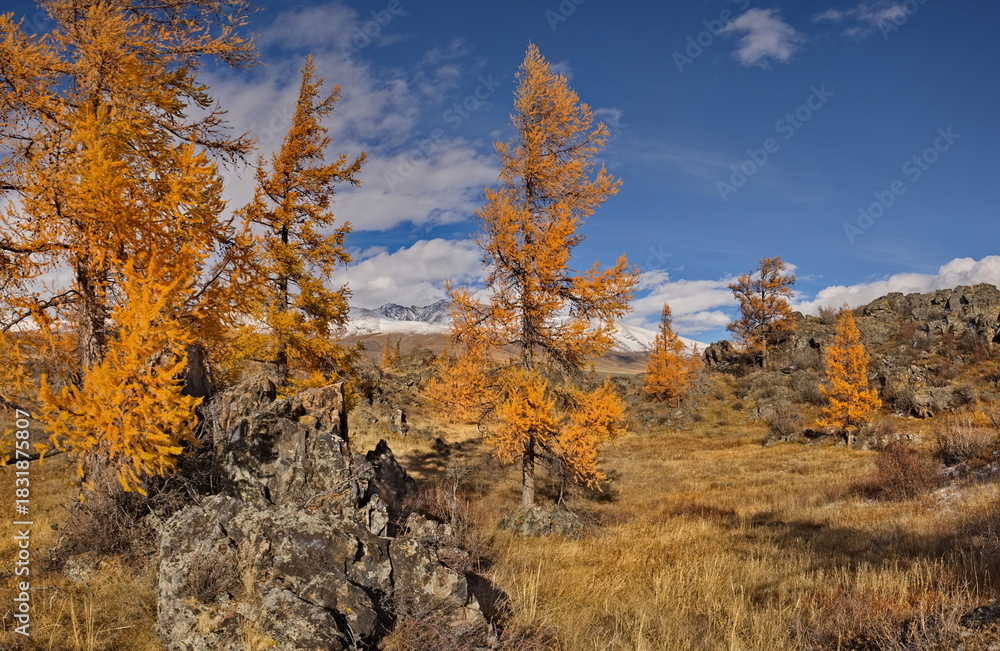 Fototapeta premium Russia. The South of Western Siberia, the Altai Mountains. The beginning of autumn on picturesque rocky placers in the Kurai steppe along the Chui tract.