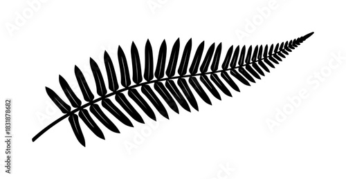 Elegant fern frond illustration for natural designs and botanical themes