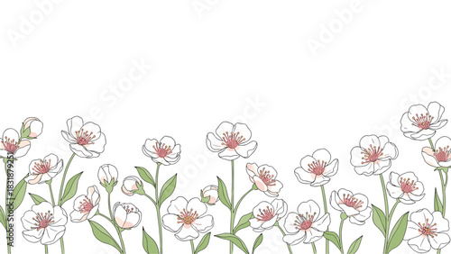 Delicate white blossom border adds a touch of spring magic to your designs for invitations, branding, and delightful seasonal promotions