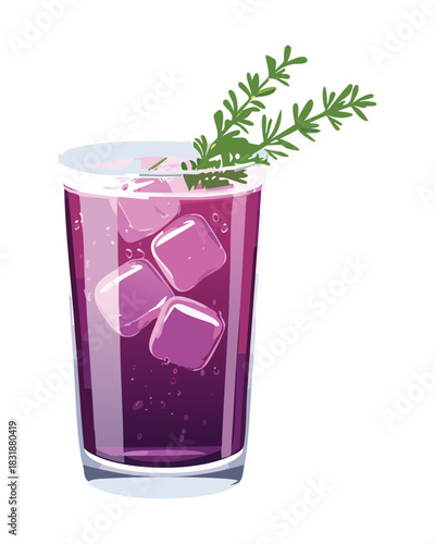 Chilled blackberry infused water with ice and rosemary sprig for a healthy summer drink - Vector Illustration