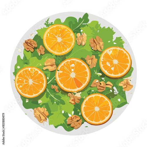 Vegetarian orange and walnut salad with mixed greens and citrus vinaigrette for a clean eating diet - Vector Illustration