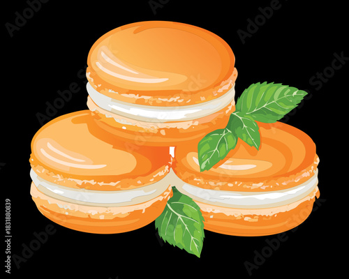 Sweet orange macaron cookies with white cream filling and fresh mint leaves for bakery shop promotion material - Vector Illustration