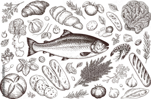 Hand drawn vintage food sketch set featuring fish, bakery bread, fresh vegetables, garlic, and herbs.
