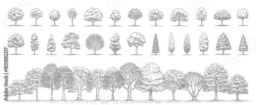 Minimal Style CAD Tree Line Drawing Set Featuring Side View Outline Symbols of Graphic Tree Elements for Architecture, Landscape Design, Outdoor Forest, and Garden Section Illustrations