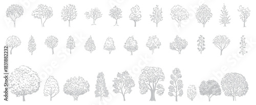 Minimal Style CAD Tree Line Drawing Set Featuring Side View Outline Symbols of Graphic Tree Elements for Architecture, Landscape Design, Outdoor Forest, and Garden Section Illustrations