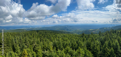 Fototapeta Naklejka Na Ścianę i Meble -  View of the area from the observation tower on Orlica in the Orlickie Mountains