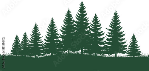 Dense pine forest landscape silhouette with evergreen trees on grassy hill, natural woodland illustration for outdoor nature design and scenery projects