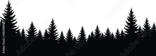 Dense pine forest silhouette with evergreen fir trees forming a natural woodland landscape, ideal for nature illustrations, backgrounds, scenery design and decoration