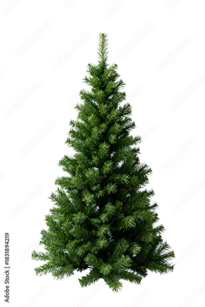 Fototapeta premium Isolated Evergreen Christmas Tree Clean Background