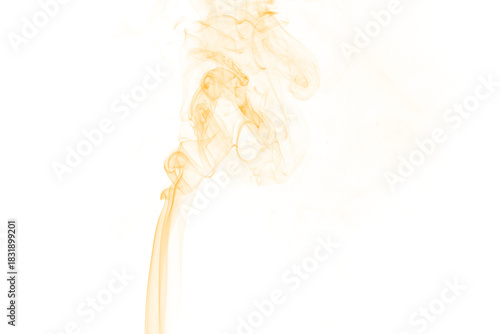 Abstract golden organic forms flowing upward against a deep black background suggesting growth and transformation