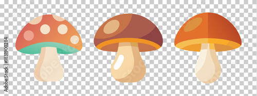 Three Cartoon Mushrooms Orange Red and Brown Colors fungi toadstool