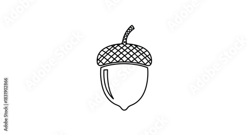Minimalist black line art icon of a single acorn with a crosshatched cap, symbolizing autumn, nature, and potential growth.