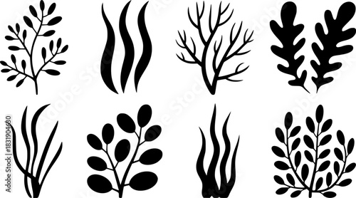 Collection of Black Silhouette Botanical and Aquatic Plant Illustrations
