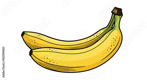 A vibrant and detailed illustration of a bunch of two ripe yellow bananas, in a classic, slightly retro drawing style.