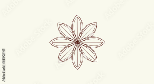 A minimalist and geometric flower or star anise icon created with clean brown lines, isolated on a light cream background.