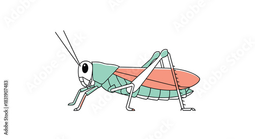 Simple and colorful cartoon illustration of a grasshopper insect with green, pink, and white features, on a plain background.