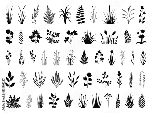 Set of Horizontal Meadow Silhouette Banners with Hand Drawn Grass in Clean Natural Style, Created as Detailed Vector Illustration for Landscape Backgrounds and Nature Design Projects