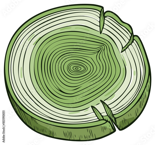 Green tree trunk cross section showing growth rings and texture