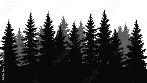 Silhouette of Fir Trees Forming a Forest Landscape Scene on White Background, Minimal Evergreen Woodland Outline for Nature Design Elements in Clean Vector Illustration