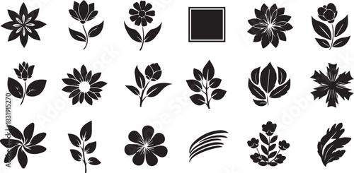 Collection of Black Floral and Leaf Silhouettes flower