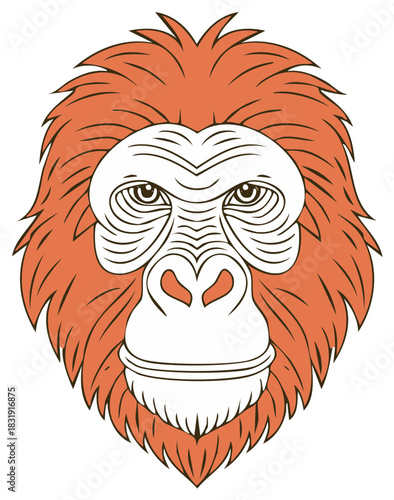 Orangutan primate head with thick fur around its face and intense gaze vector illustration for decoration