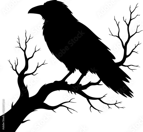 raven sitting on a bare tree branch vector art