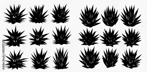 Set of black silhouettes of agave plants or succulent bushes on transparent background.