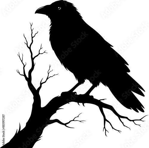 raven sitting on a bare tree branch vector art