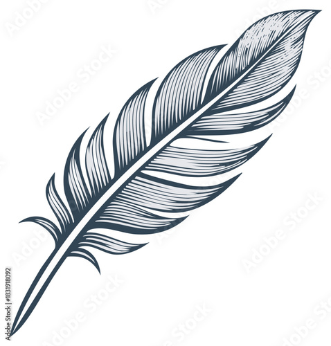 Elegant bird feather quill illustration in a classic vintage engraved style