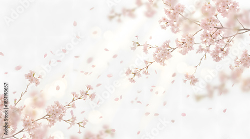 Minimal Pastel Spring Blossoms Floating on White Background with Soft Bokeh
