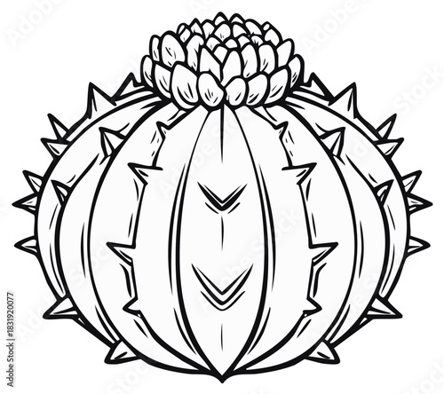 Detailed outline drawing of a round barrel cactus with sharp spines and a flowering crown