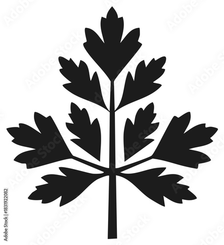 Black and white illustration of parsley leaves