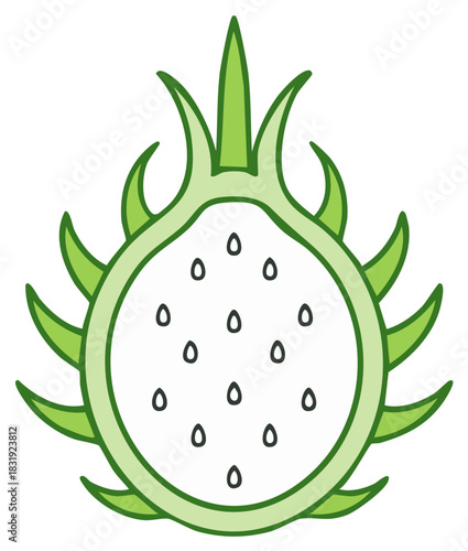 Illustration of a sliced dragon fruit with green and white colors.