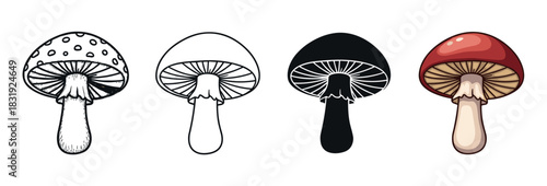 Set of four mushroom illustrations in different artistic styles including detailed sketch, simple outline, black silhouette, and full color cartoon vector