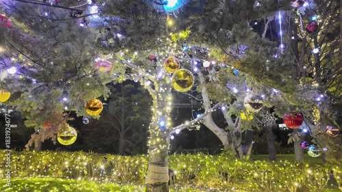 都市の夜を彩るイルミネーションと巨大クリスマスツリー