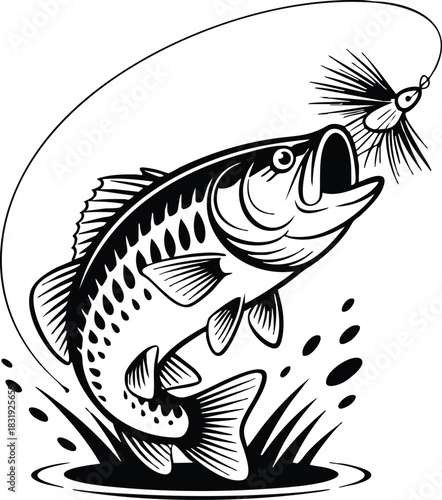 Jumping Bass Fishing Lure, Fish and Fly Fishing Lure, Bass Jumping for a Fly, vector, illustration, silhouette.