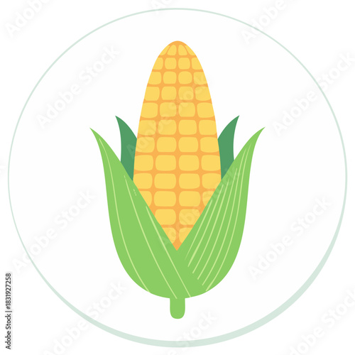 Simple flat vector illustration of a yellow sweetcorn cob with green husk leaves in a round frame