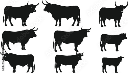Black Bull Silhouettes Collection Featuring Diverse Horn Shapes and Body Styles for Branding, Farming, Zodiac, and Decorative Design Themes