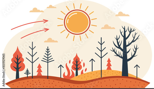 Deforested land under scorching sun a sign of environmental damage