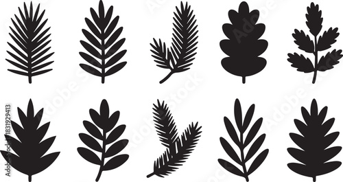 Collection of Black Silhouette Botanical Leaf and Branch Icons on White Background Keywords: leaf, leaves, branch, branches, botanical, nature, plant, flora, silhouette, icon, set, collection