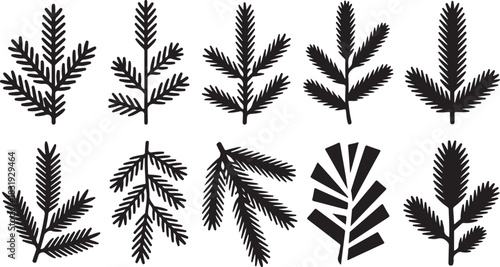 Collection of Black Silhouette Pine Branches and Fir Needles on White Background evergreen