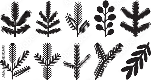 Collection of ten black and white silhouette icons of coniferous tree branches and leafy sprigs Keywords: pine branch, fir branch, spruce branch, evergreen, foliage, leaf, sprig, botanical, nature